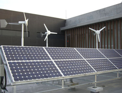 教育施設：太陽光および風力発電設備