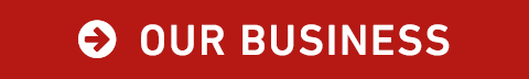 OUR BUSINESS